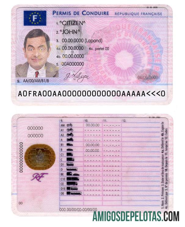 Carta de condução francesa baixar para verificação